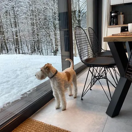 Mlynowiec 4rest Вилла