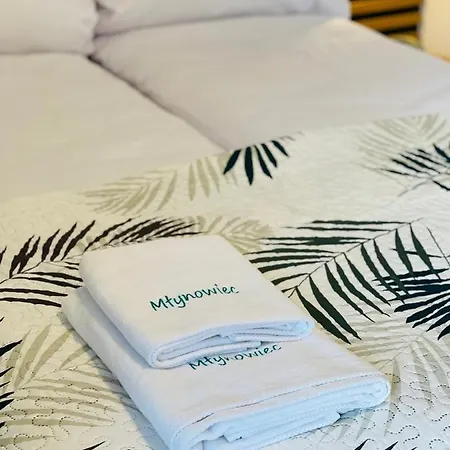 Villa Mlynowiec 4rest Stronie Śląskie