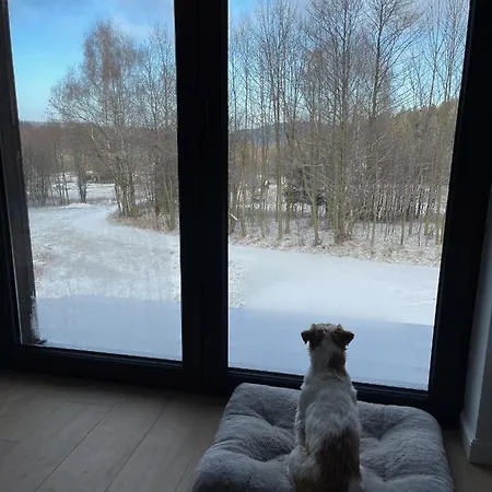 Mlynowiec 4rest Строне-Слёнске