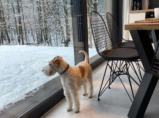 Mlynowiec 4rest Villa