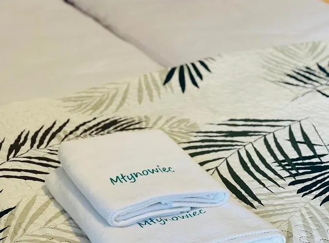 Villa Mlynowiec 4rest Stronie Śląskie