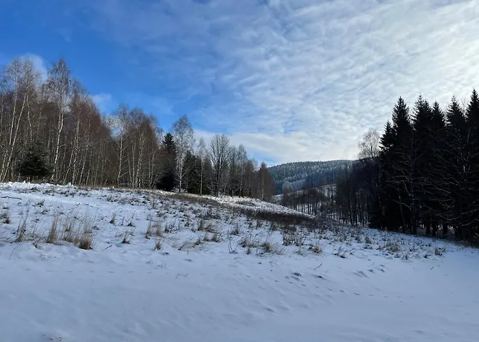 Mlynowiec 4rest * Stronie Slaskie